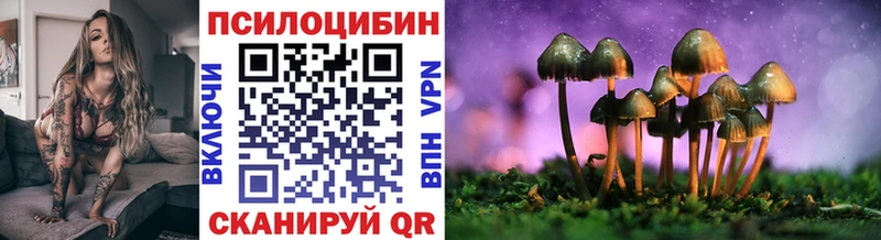 цена   Карабулак  Галлюциногенные грибы GOLDEN TEACHER 