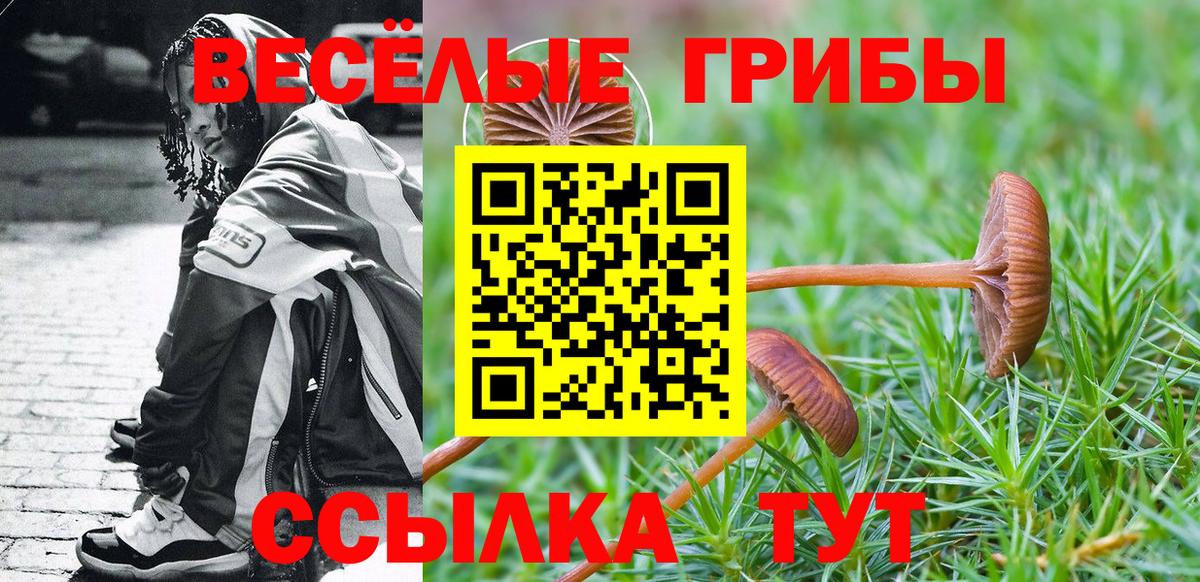 Псилоцибиновые грибы MAGIC MUSHROOMS  Вход с VPN  Карабулак 