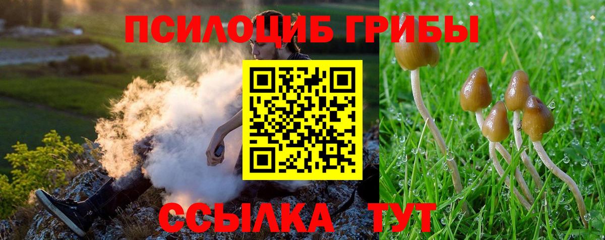Псилоцибиновые грибы ЛСД Карабулак